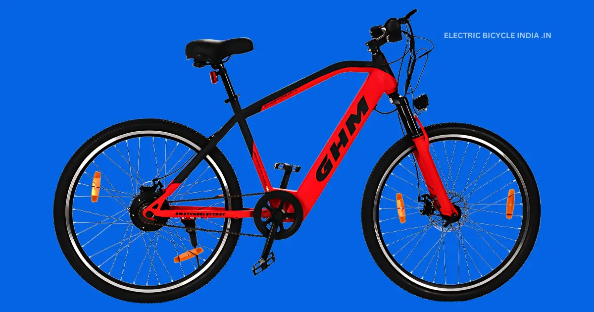 GEAR HEAD MOTORS L Series Electric Bicycle India