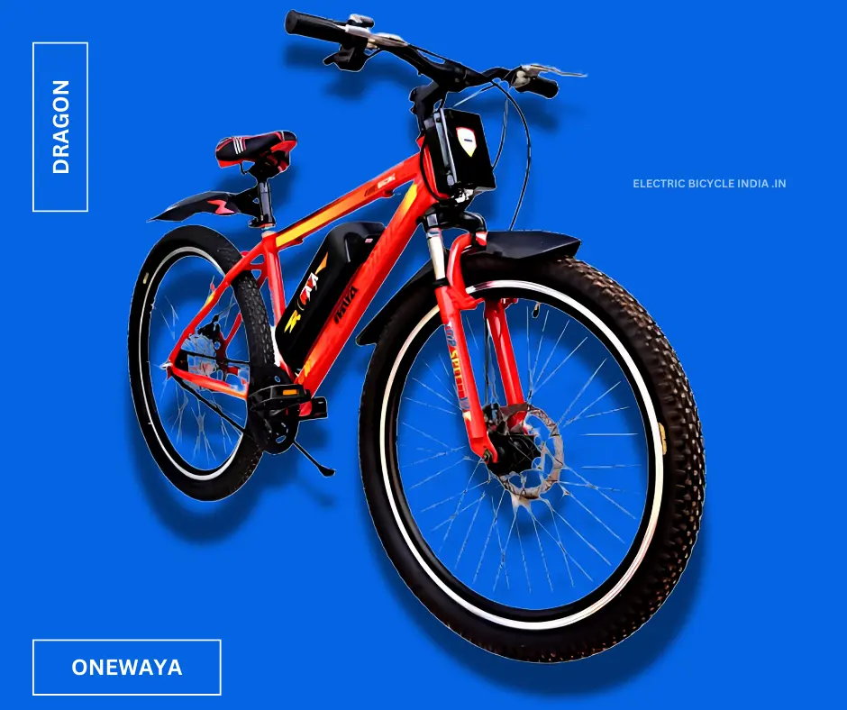 ONEWAYA DRAGON ELECTRIC BICYCLE INDIA