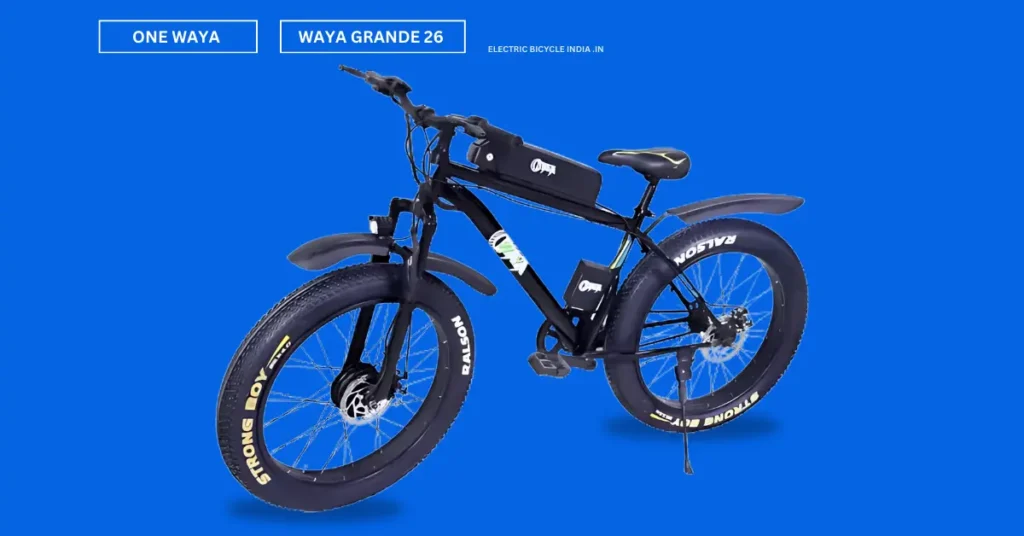 One Waya Grande 26 Electric Bicycle Price