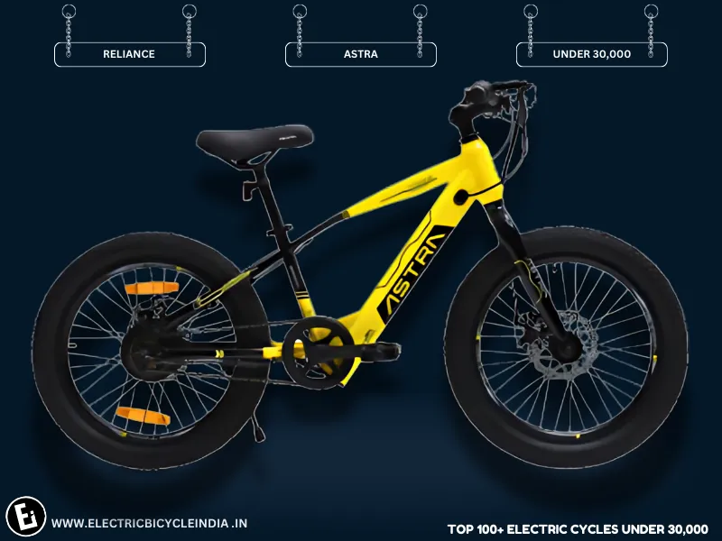 Best Electric Bicycles Under 30000 In India Astra By Reliance - Electric Bicycle India