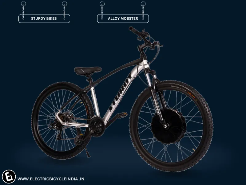 Best Electric Bicycles Under 35000 In India - Alloy Mobster By Sturdy Bikes - Electric Bicycle India