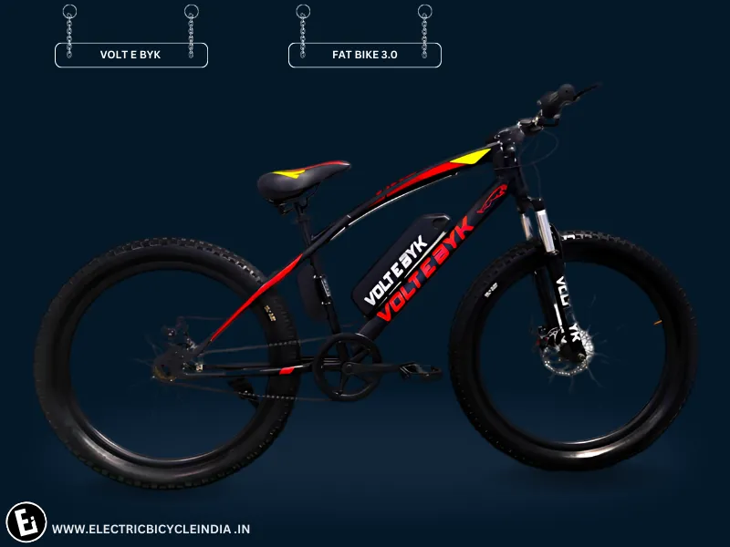 Best Electric Bicycles Under 35000 In India - Fat Bike 3.0 By Voltebyk - Electric Bicycle India