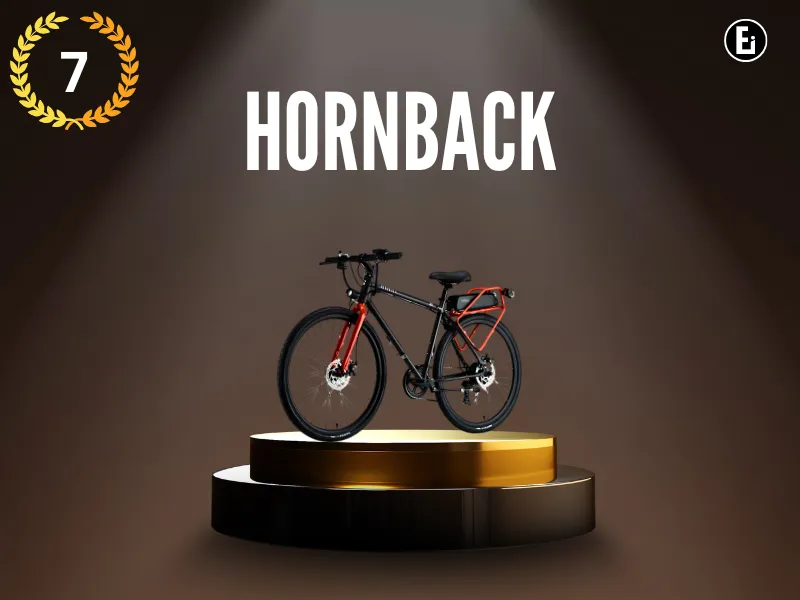 Hornback_ #7 Electric Bicycle Brands In India 2025