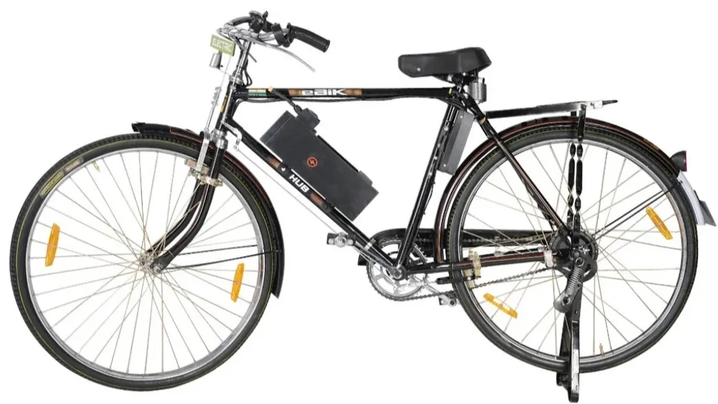 eBik Hub Pro electric bicycle